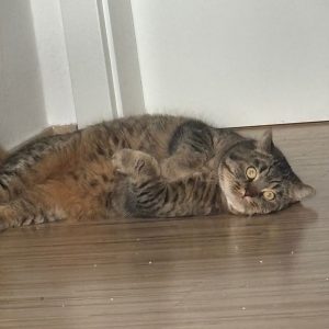 PHOTO-2026-01-27-15-10-06